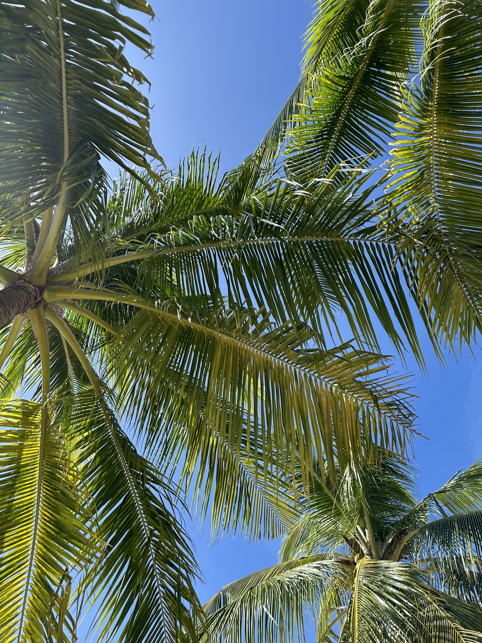 Sky over Virgin Island